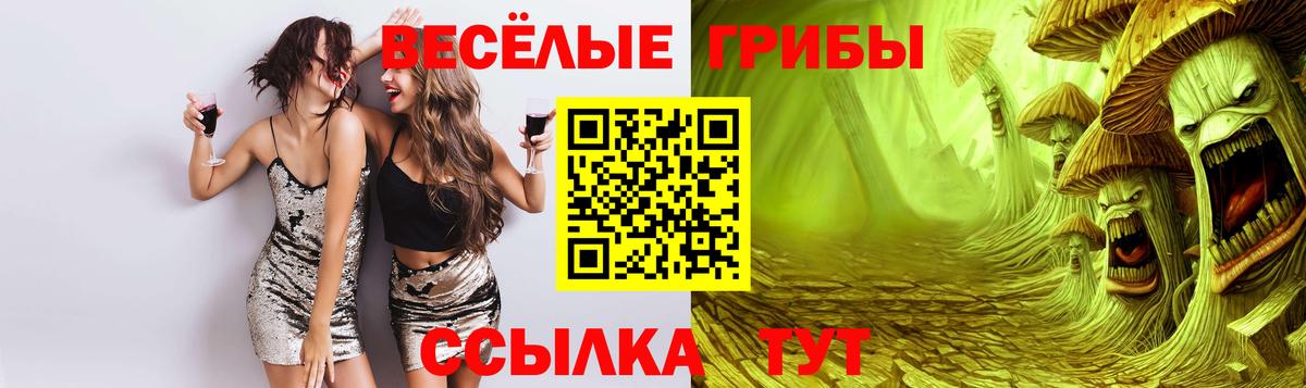 Вязники  Галлюциногенные грибы Magic Shrooms  Вход с VPN 