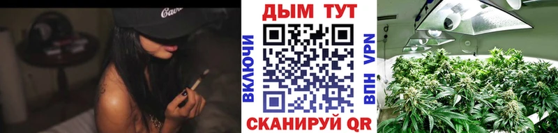 Бошки Шишки сатива  продажа наркотиков  Вязники 